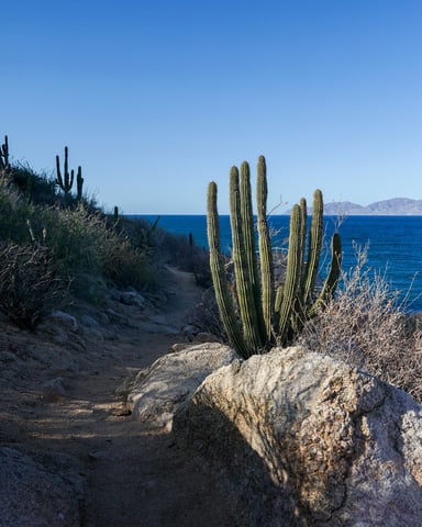 Senderismo y paseos por la naturaleza