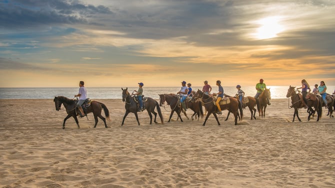 Camel and Horseback Rides
