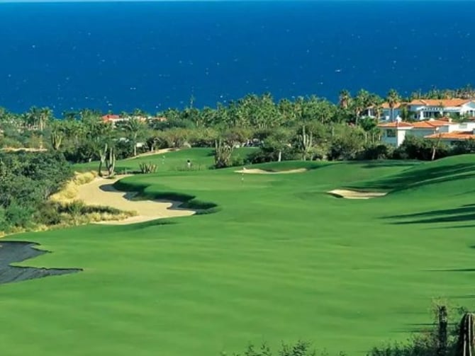 Palmilla